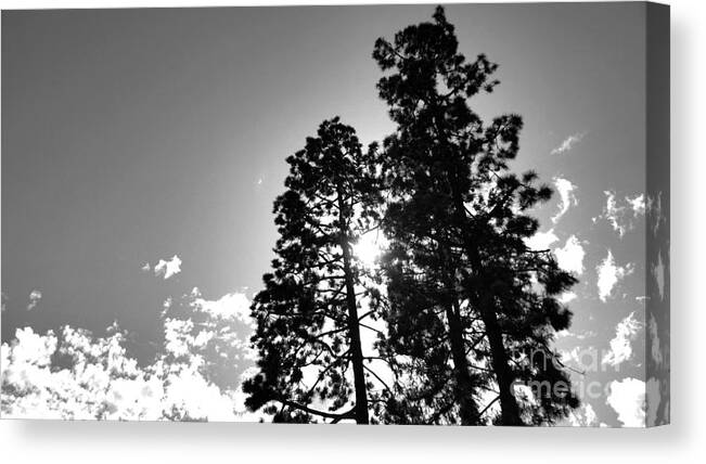 Tree Canvas Print featuring the photograph In the Shade by Maria Aduke Alabi