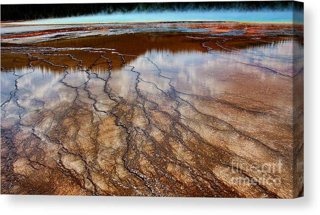 Yellowstone Canvas Print featuring the photograph In Vain by Robert Pearson