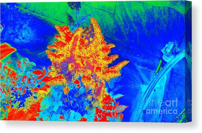 Floral Canvas Print featuring the digital art Infared by Steven Wills