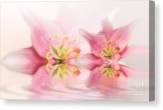 Lilies Canvas Print featuring the photograph Lilies by Patti Schulze