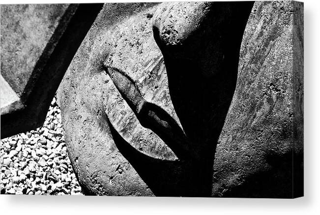  Canvas Print featuring the photograph Lips by Brian Sereda