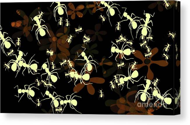 Digital Art Canvas Print featuring the digital art Lives of Ants by Tim Richards