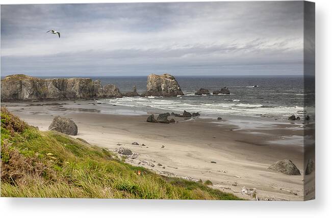 Oregon Canvas Print featuring the photograph Lone Gull - Bandon Beach by Harold Rau