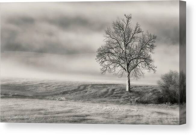 Landscape Canvas Print featuring the photograph Lone Tree at the Ojai Summit by John A Rodriguez