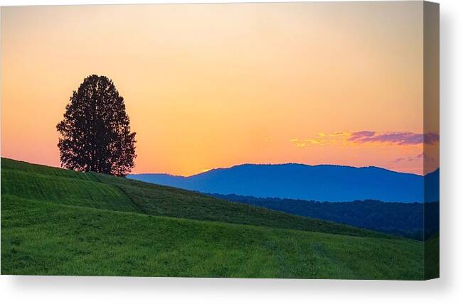  Canvas Print featuring the photograph Lone Tree by Kendall McKernon