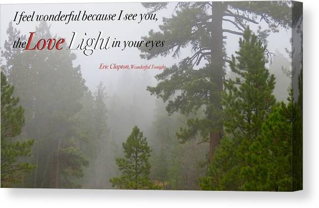  Canvas Print featuring the photograph Love Light by David Norman
