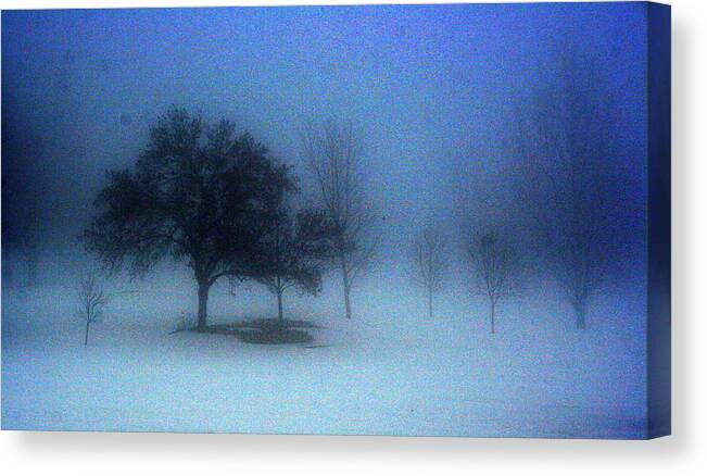Landscape Canvas Print featuring the photograph Love me in the mist by Julie Lueders 