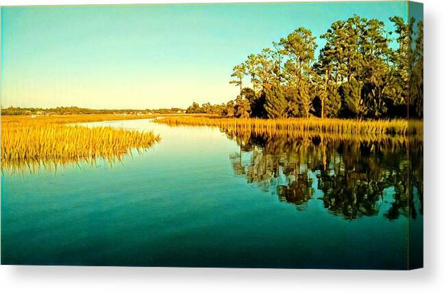 Marsh Canvas Print featuring the photograph Marvelous Marsh by Sherry Kuhlkin