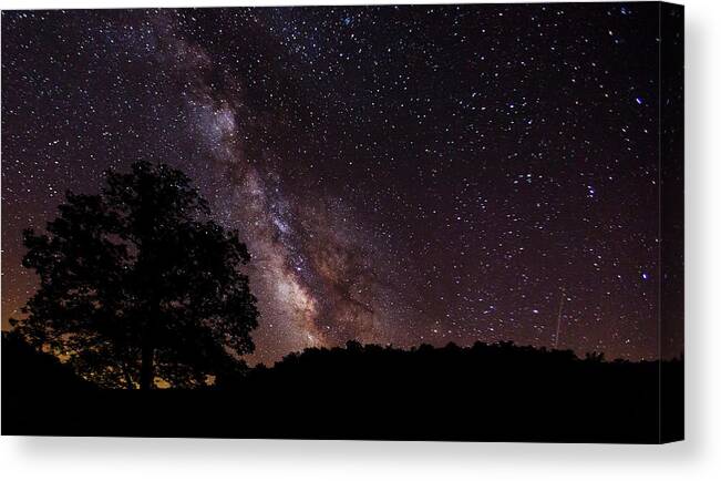 Milky Way Canvas Print featuring the photograph Milky Way and the Tree by Eilish Palmer