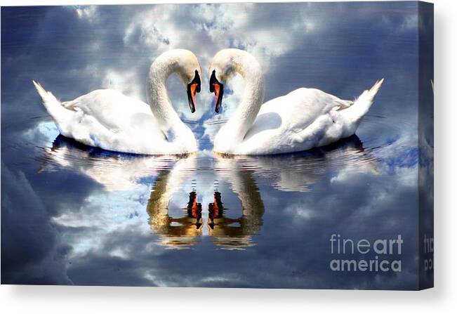 Mirrored White Swans Canvas Print featuring the photograph Mirrored White Swans with Clouds Effect by Rose Santuci-Sofranko