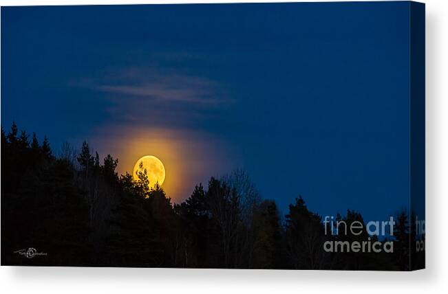 Moon Rise Canvas Print featuring the photograph Moon rise by Torbjorn Swenelius