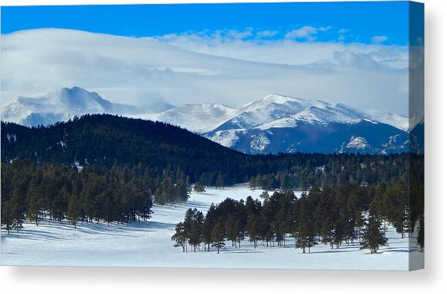 Photography Canvas Print featuring the photograph Buffalo Park by Dan Miller