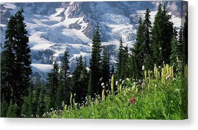  Canvas Print featuring the painting Mountain Flowers by Scott Nelson