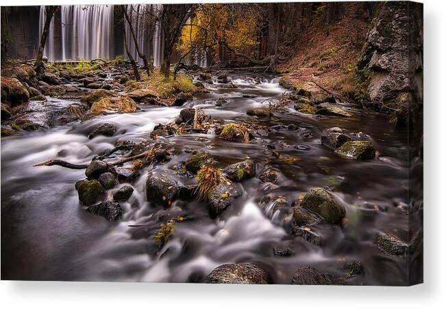Autumn Canvas Print featuring the photograph Moving Down by Hernan Bua
