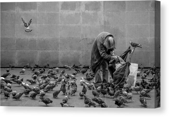 Street Canvas Print featuring the photograph My Friends... by Gilbert Claes