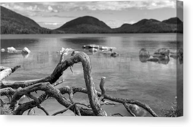 Black And White Canvas Print featuring the photograph Natural Curves by Holly Ross