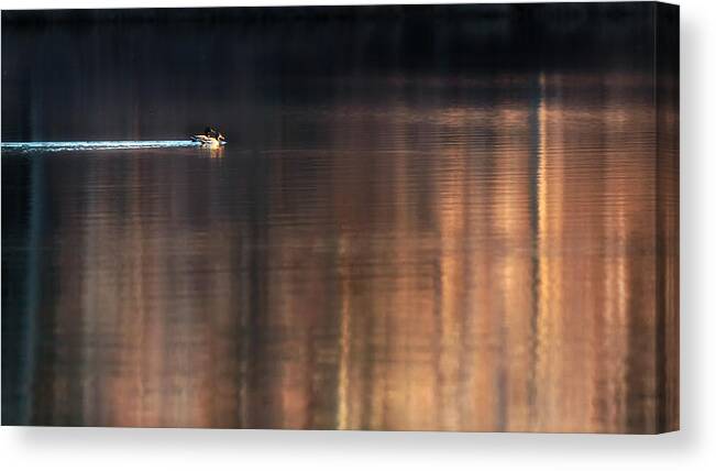 Bill Wakeley Canvas Print featuring the photograph Out of the Shadows by Bill Wakeley