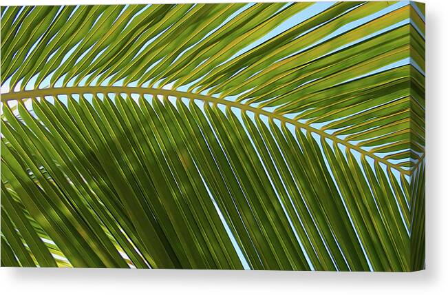 Palm Canvas Print featuring the digital art Palm Branch Smooth by Geoff Strehlow