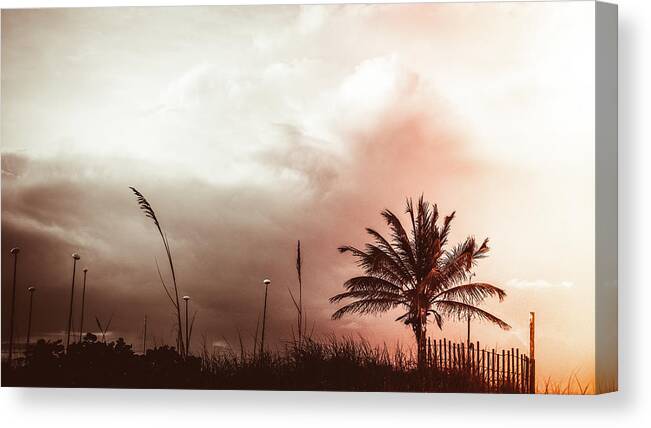 Florida Canvas Print featuring the photograph Palm Fence Delray Beach Florida by Lawrence S Richardson Jr