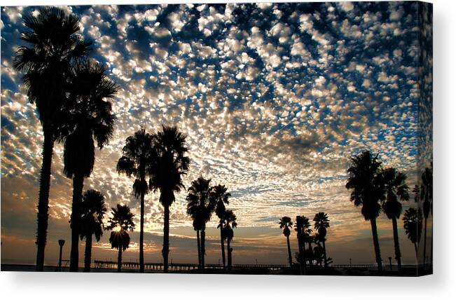 Beach Shadow Sunset Pier Clounds Canvas Print featuring the photograph Palm tree silhouette by Wendell Ward