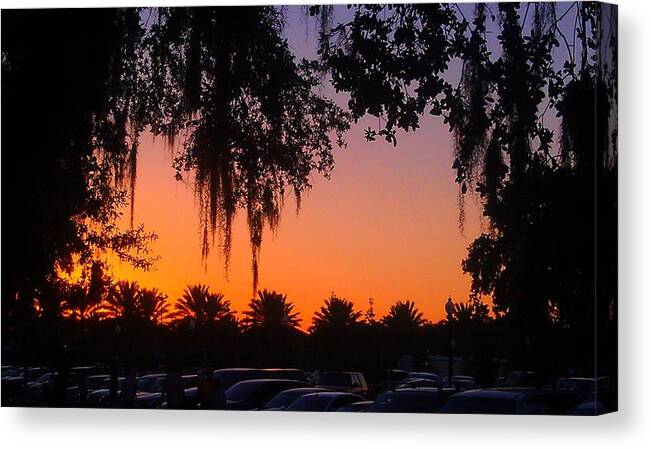 Palm Trees Canvas Print featuring the photograph Palm Trees and Spanish Moss Sunset by Deborah Lacoste