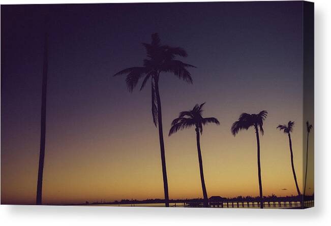 Vacation Canvas Print featuring the photograph Palm Trees in the Morning Light by Anthony Doudt