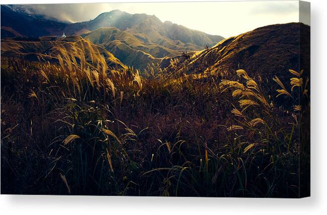 Tall Grass Canvas Print featuring the photograph Path to the Top by Britten Adams