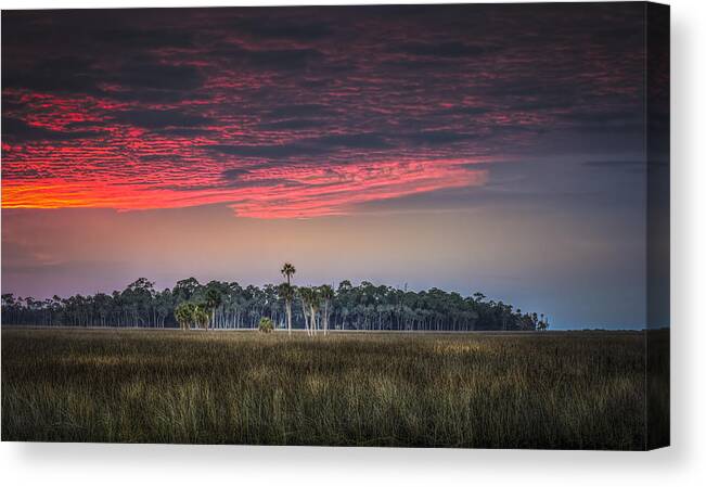 Peaceful Palms Canvas Print featuring the photograph Peaceful Palms by Marvin Spates