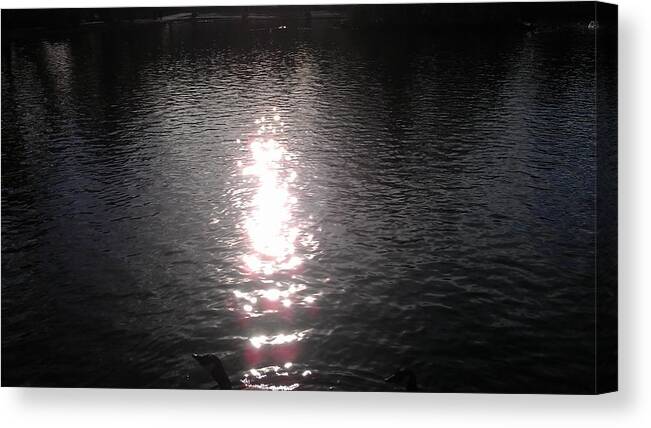 Pond Canvas Print featuring the photograph Pond by Mariel Mcmeeking