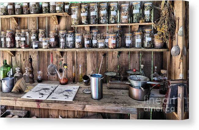 Mason Jars Bench Herbs Vintage Old Artistic Shelves Rustic Canvas Print featuring the photograph Potting Shed by Mick Flynn