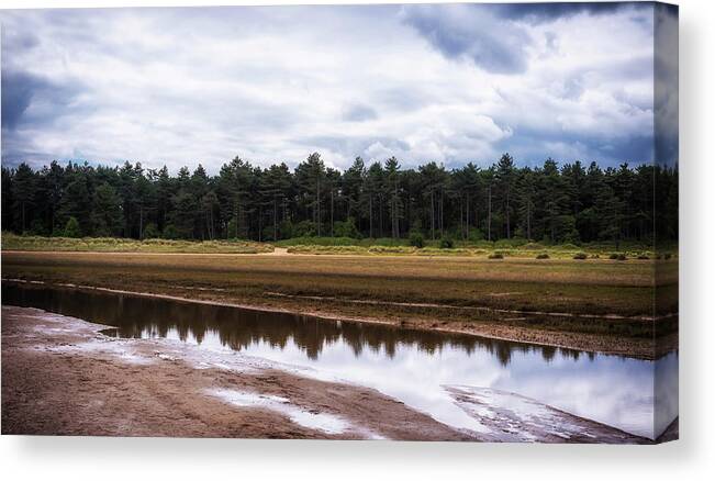 Woods Canvas Print featuring the photograph Reflections by Nick Bywater
