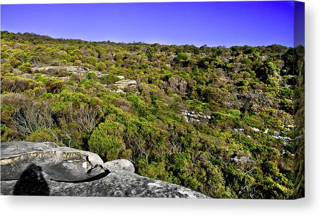 Nature Canvas Print featuring the photograph Rocks And Shrubs Of North Head by Miroslava Jurcik