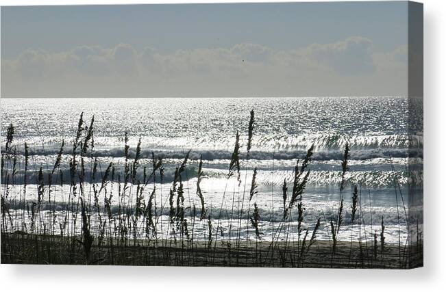 Ocean Canvas Print featuring the photograph Sea Oats and Sparkle by Betty Buller Whitehead
