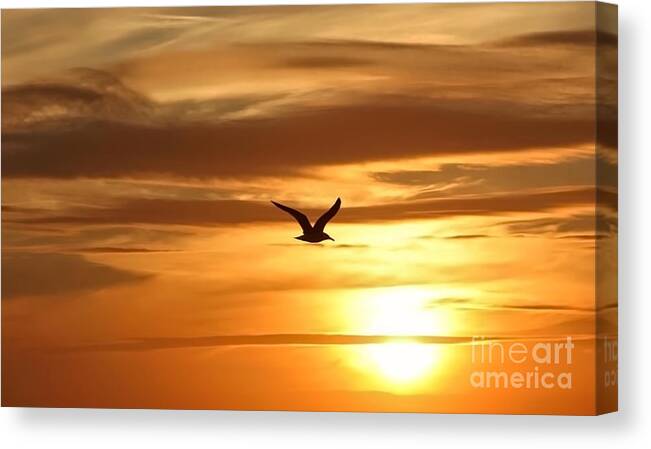 Seagull Canvas Print featuring the photograph Seagull Soaring into Sunset by Beth Myer Photography