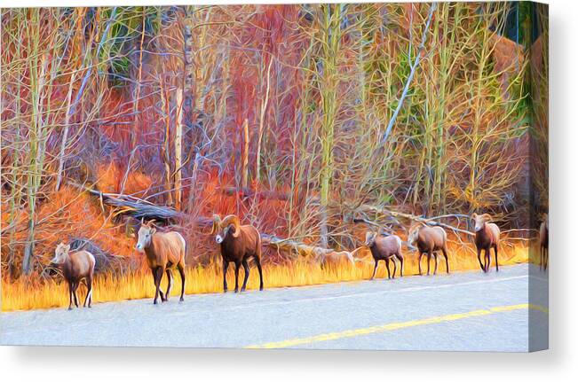 Nature Canvas Print featuring the photograph Single File for Safety by Judy Wright Lott