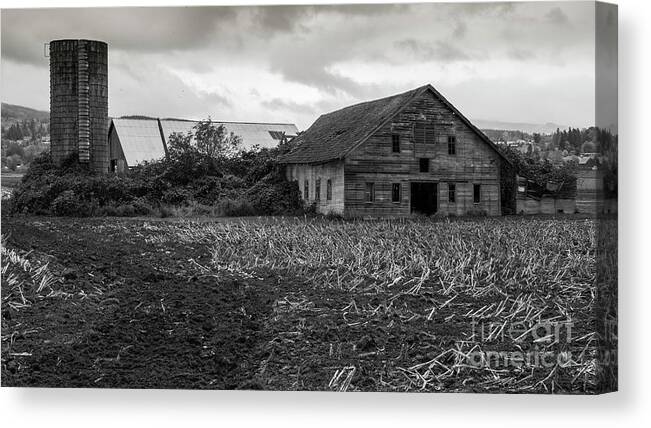 Barn Canvas Print featuring the photograph Skagit Flats-6962 by Roger Patterson