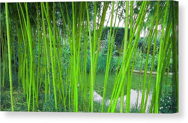 Fantasy Canvas Print featuring the photograph Skinny Bamboo In Vivid Green by Rowena Tutty