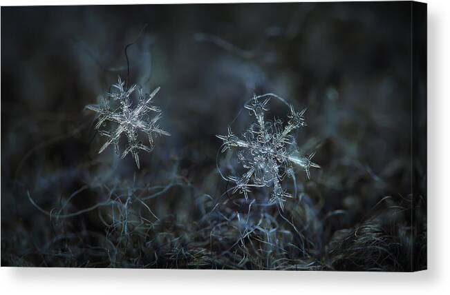 Snowflake Canvas Print featuring the photograph Snowflake photo - When winters meets - 2 by Alexey Kljatov