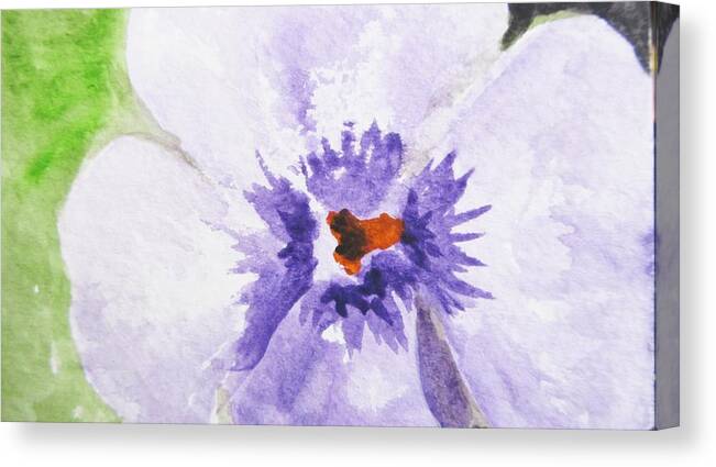 Pansy Canvas Print featuring the painting Spring Thoughts by Trilby Cole