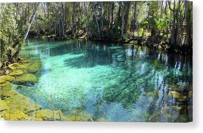 Three Sisters Springs Canvas Print featuring the photograph Spring Three of Three Sisters Springs by Judy Wanamaker
