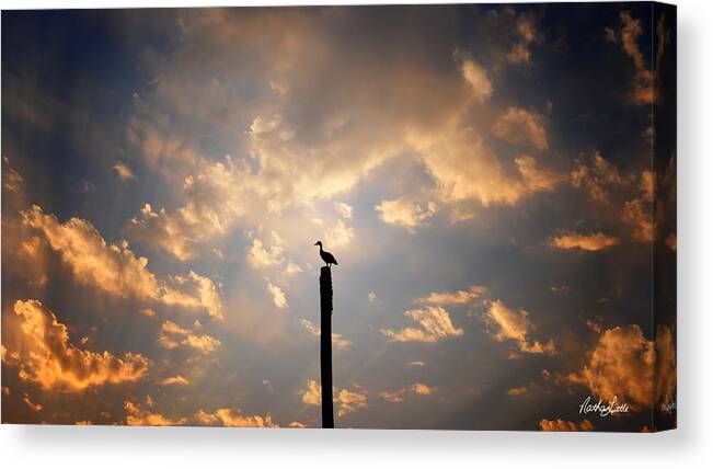 Nature Canvas Print featuring the photograph Stands Alone by Nathan Little