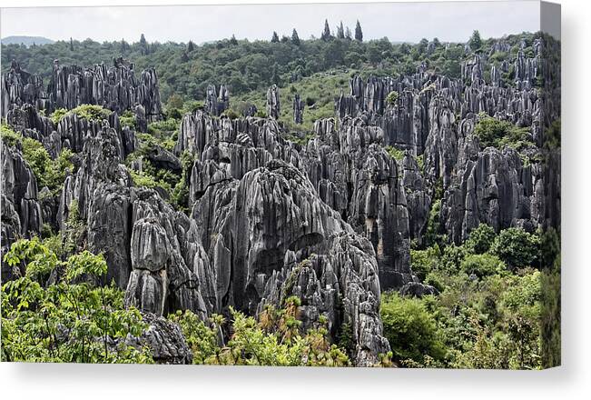 China Canvas Print featuring the photograph Stone Forest by Wade Aiken