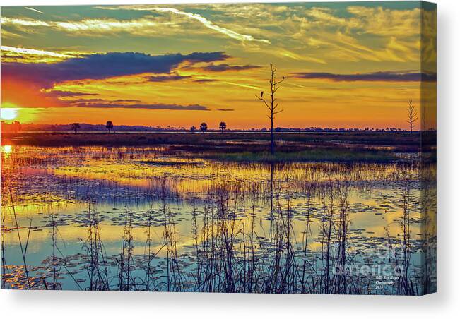 Bird Canvas Print featuring the photograph Sunrise at a Wildlife Paradise by DB Hayes