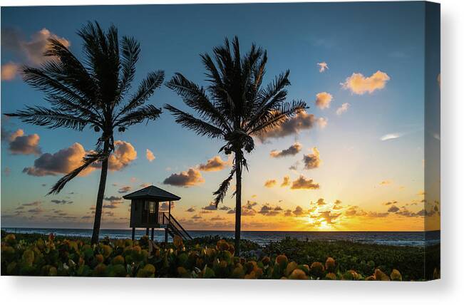 Florida Canvas Print featuring the photograph Sunrise Sunburst Palms Delray Beach Florida by Lawrence S Richardson Jr