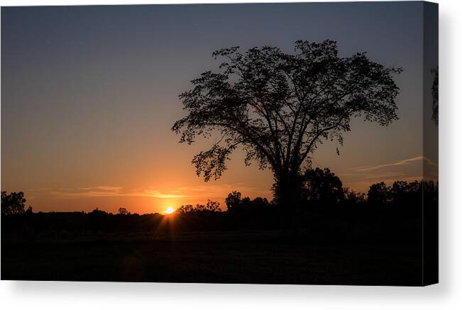 Nature Canvas Print featuring the photograph Sunset   by Holden The Moment