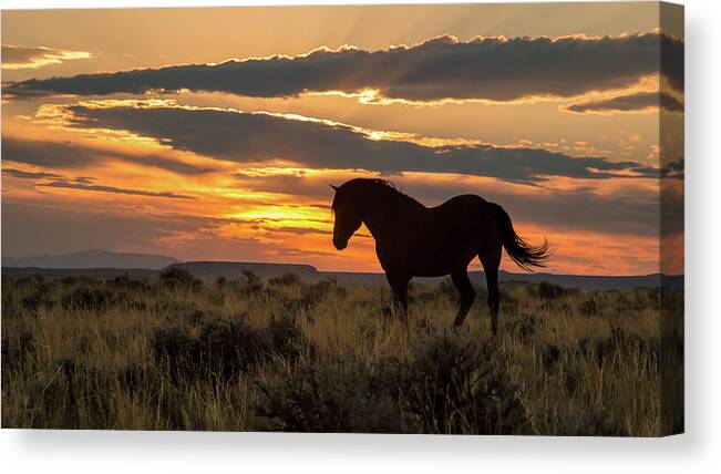 Mustang Canvas Print featuring the photograph Sunset on the Mustang by Jack Bell
