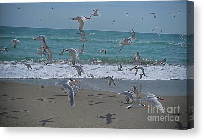 Birds Canvas Print featuring the photograph Take Flight by George D Gordon III