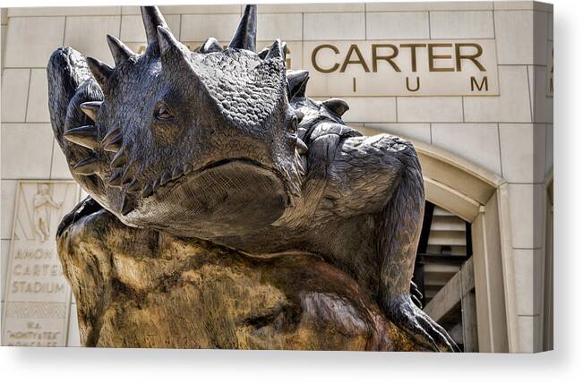 Tcu Canvas Print featuring the photograph TCU Superfrog No. 5 by Stephen Stookey