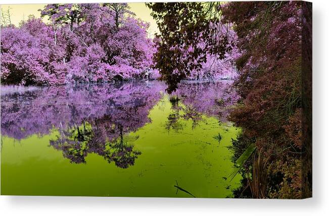 Fantasy Canvas Print featuring the mixed media The Fantasy Pond by Stacie Siemsen