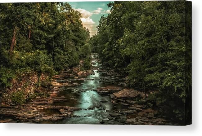 Water Canvas Print featuring the photograph The Jungle by Mike Dunn
